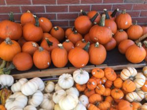 photo of pile of pumpkins
