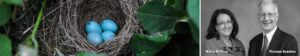photo of birds nest