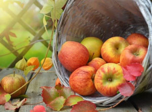 photo of apples in a basket