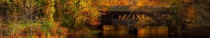 photo: covered bridge in autumn