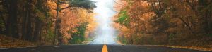 Road with trees in autumn colors on both sides.